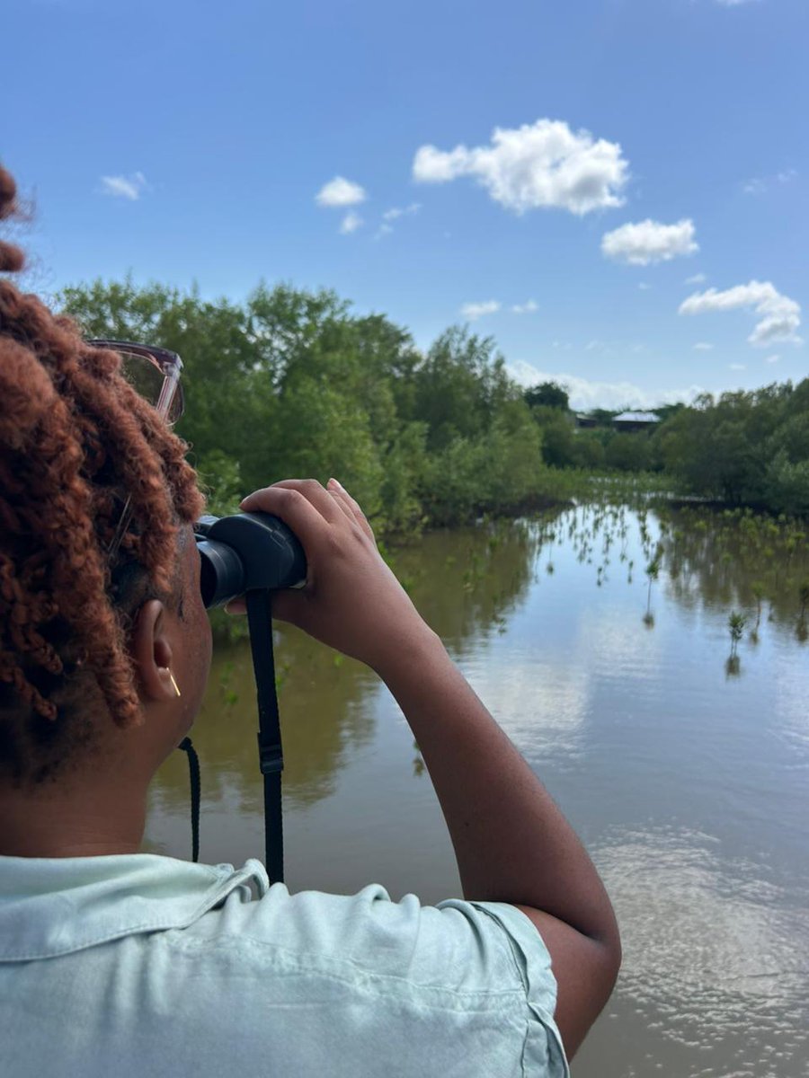 SeyGroup's tweet photo. Last Wednesday, Shella Environmental, Malindi Municipality, One Million Trees for Kilifi, Funpot, Maono Space &amp; SAMAHCO Group did a pre-visit to SAMAHCO. We're gearing up for World Environment Day to plant 5,000 mangroves &amp; restore our coastline! https://t.co/oNMfWdB8Kc