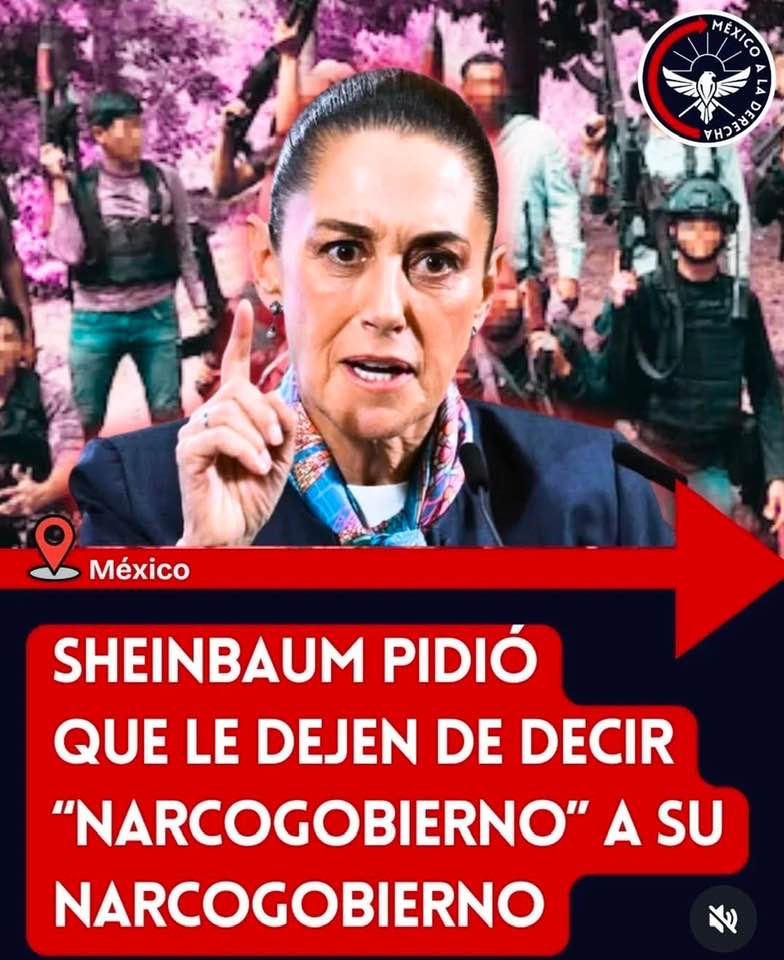 Tattaglia® 🇲🇽🇪🇸 tweet media