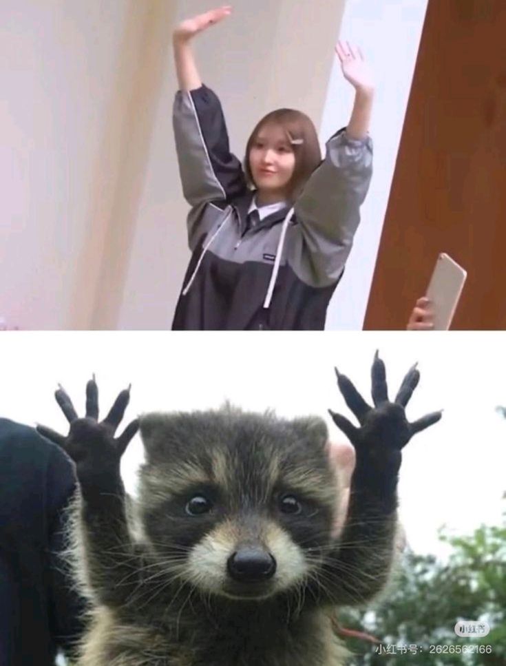 twice pics tweet media