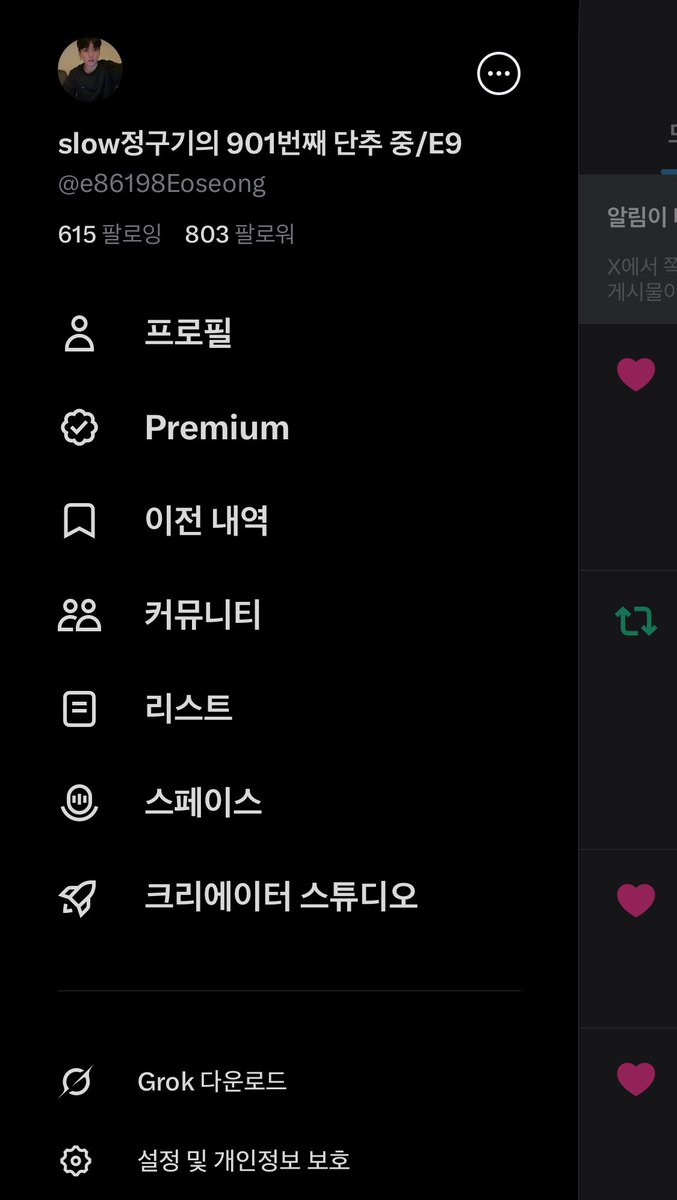 slow정구기의 901번째 단추 중/E9 tweet media