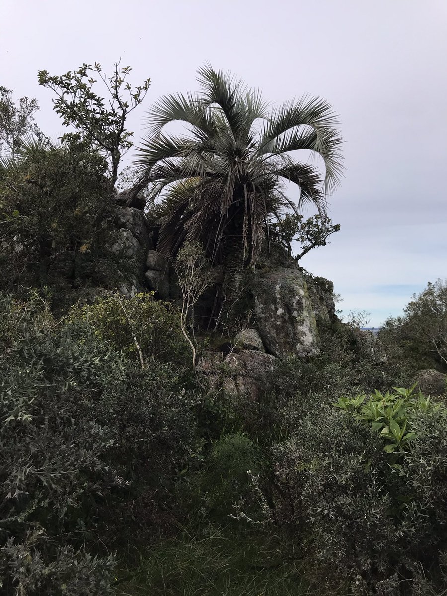Weavingquantum's tweet photo. My office yesterday https://t.co/Rw4MIVRii0