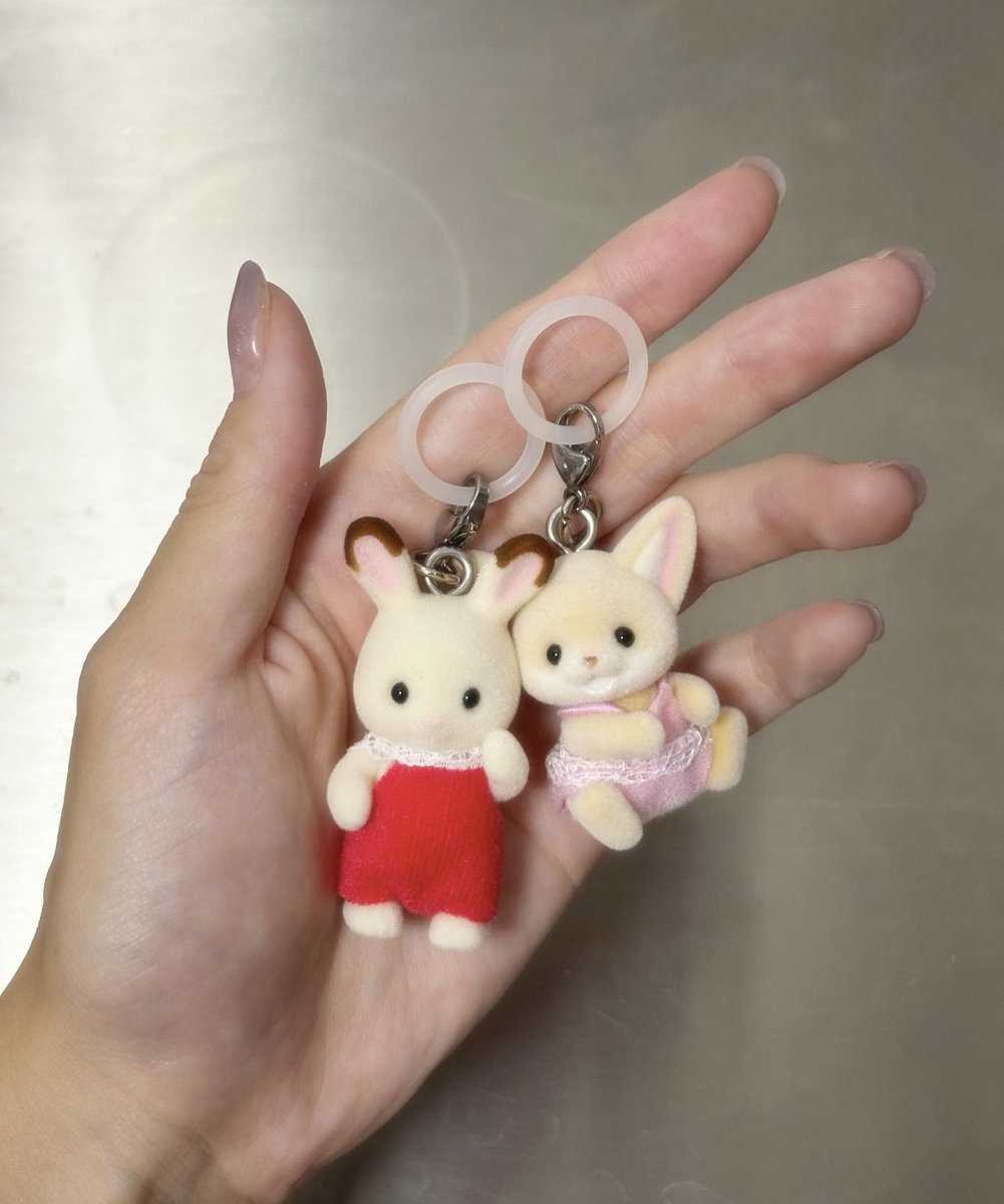 ハル˚✧₊⁎❝᷀ົཽ≀ˍ̮ ❝᷀ົཽ⁎⁺˳✧ tweet media
