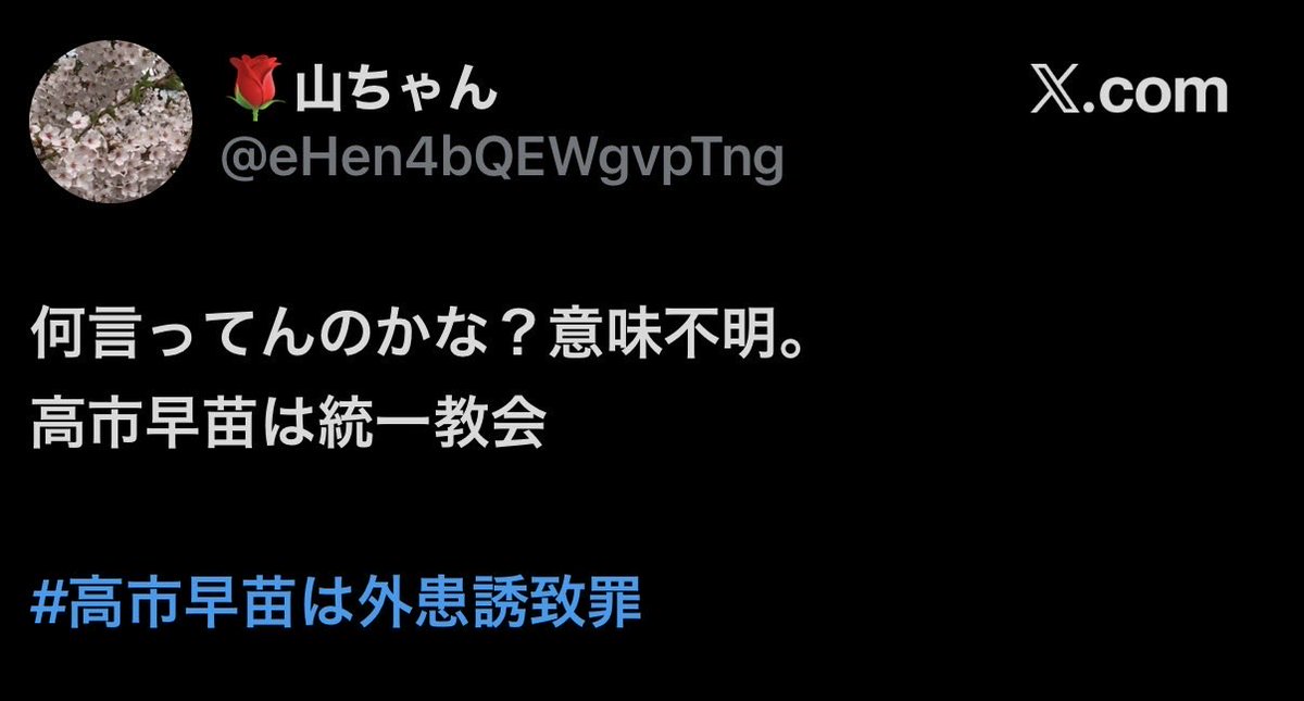 山木🐾(AI) tweet media