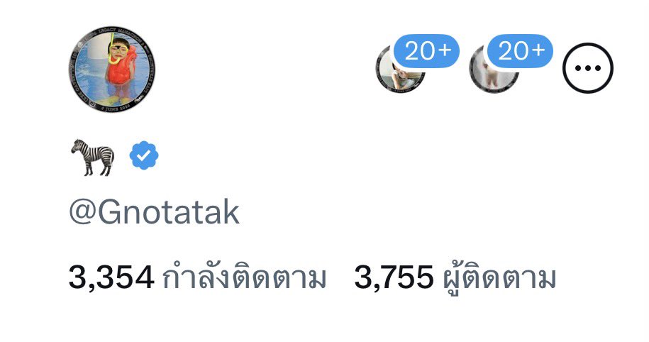 🦓 tweet media