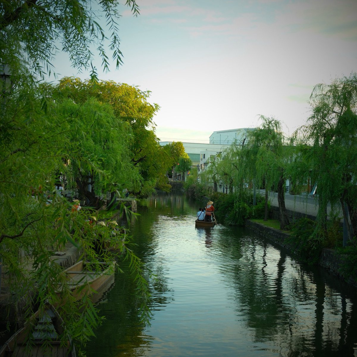 picopaxx's tweet photo. 🚶‍♀️ https://t.co/PuhBgfxqHY