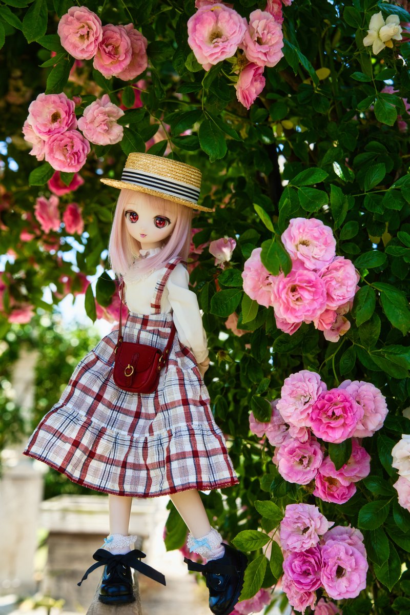 くりーむ　　はるみ くりーむぱん (@haruna5139) / Posts / X