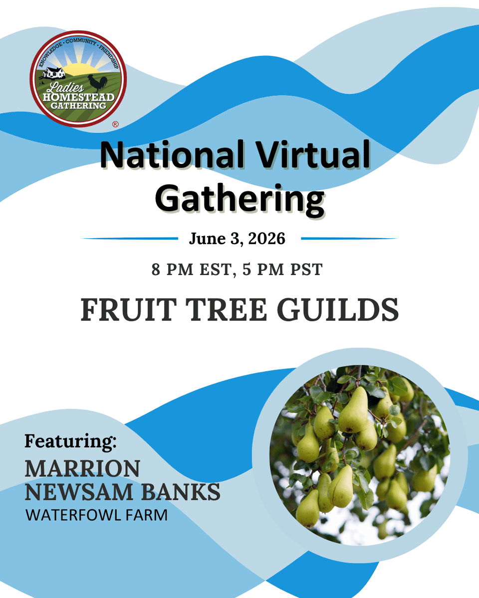 NLHGorg's tweet photo. On June 3rd, we're excited to welcome Marrion Newsam Banks to our National Virtual Gathering! She'll introduce us to Fruit Tree Guilds — a way of planting that allows your trees and surrounding plants to work together to support one another. Join us live: https://t.co/nc13AsUM6G https://t.co/OLT63BI7eo