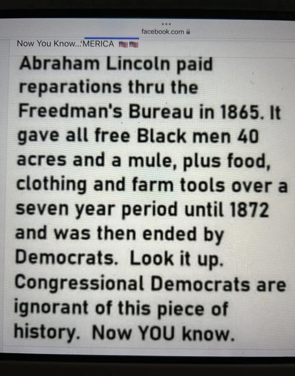 GratefulAmericanLady tweet media