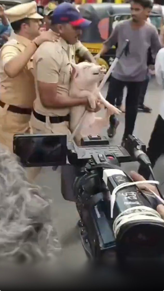 🇮🇳ஹிந்து வன்னியர் சட்ட பாதுகாப்பு பேரவை🇮🇳 tweet media