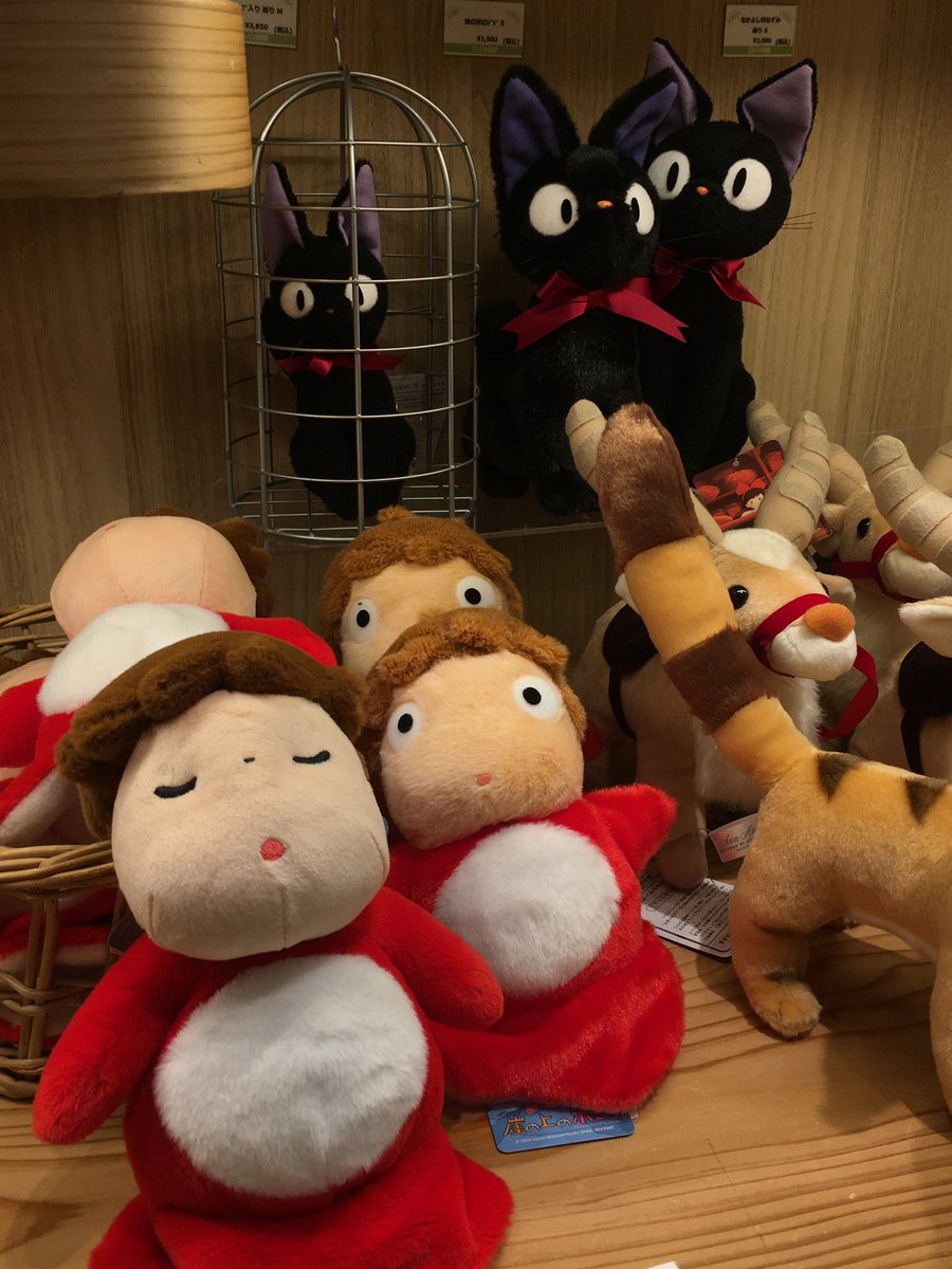 uomnosboo's tweet photo. https://t.co/pZP9u6ftKH