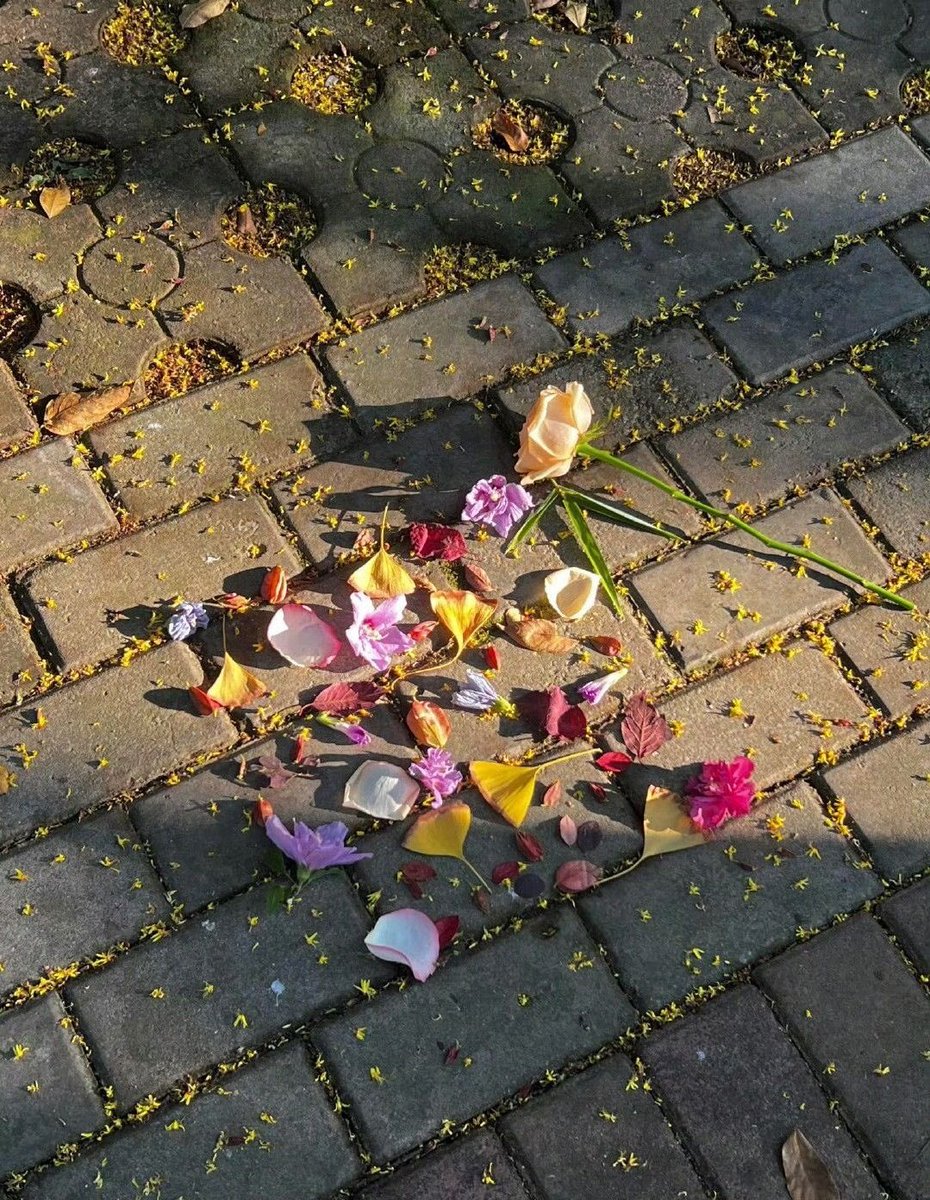 Jiya_med's tweet photo. i never want to lose the childish habit of noticing little beautiful things https://t.co/NNWjykJcaj