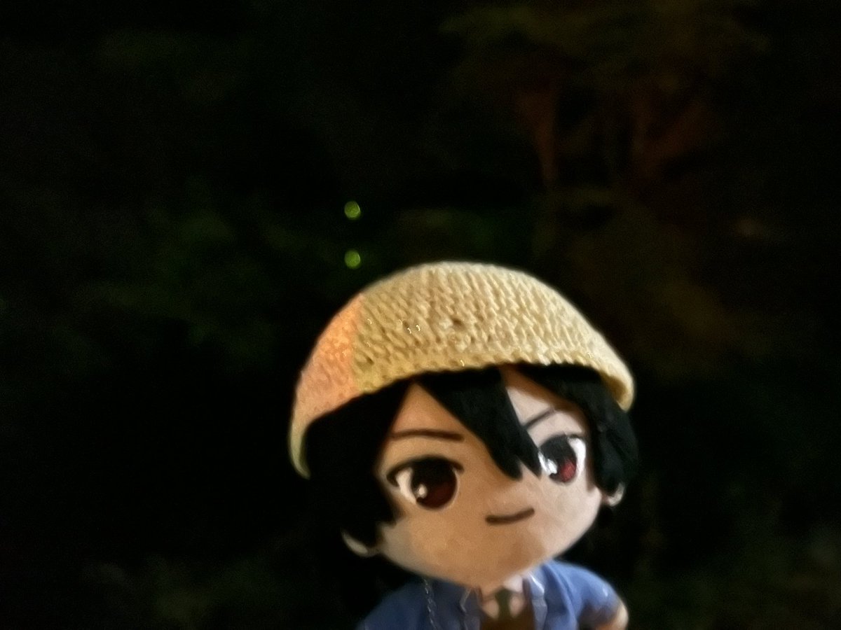 めっちゃホリディ tweet media