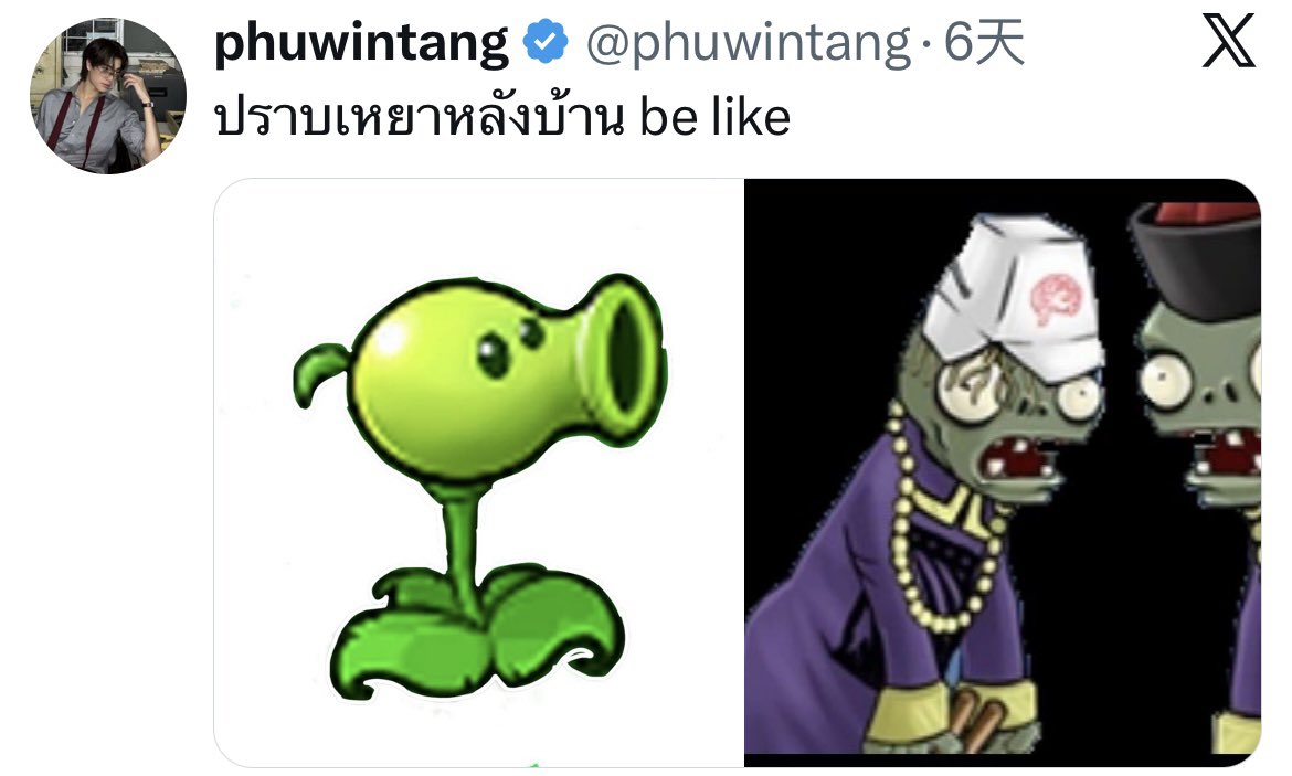 Jewelina tweet media