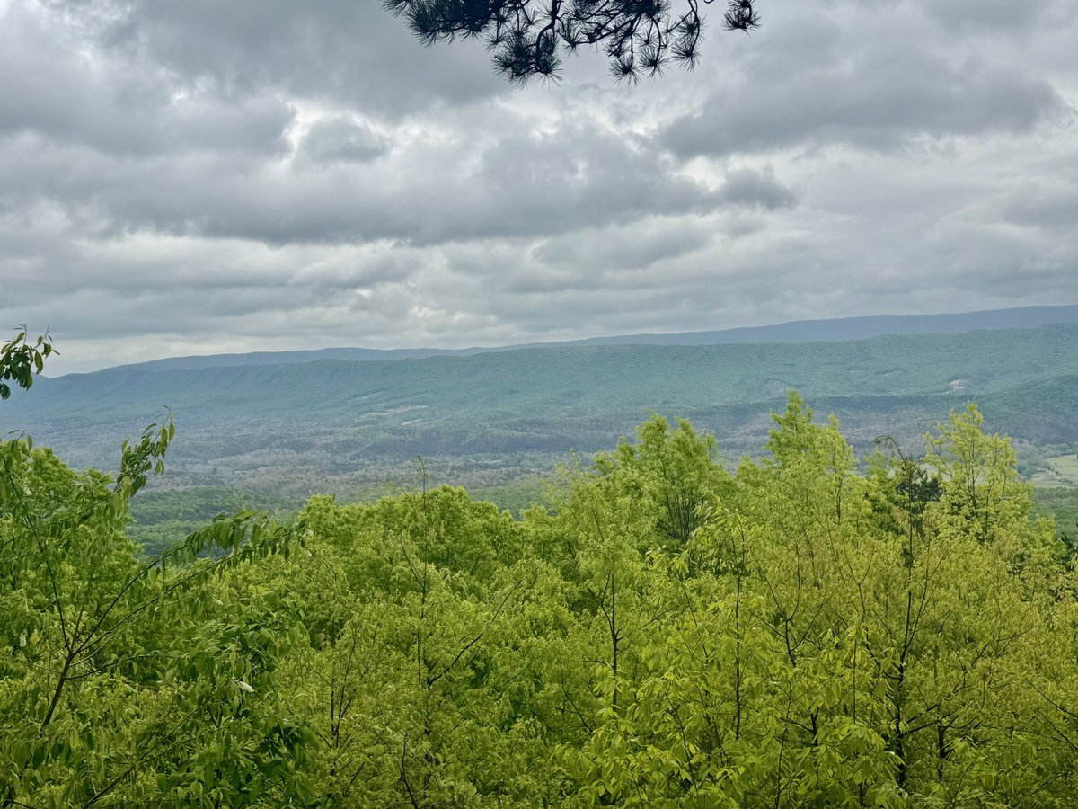 The Appalachian Podcast tweet media
