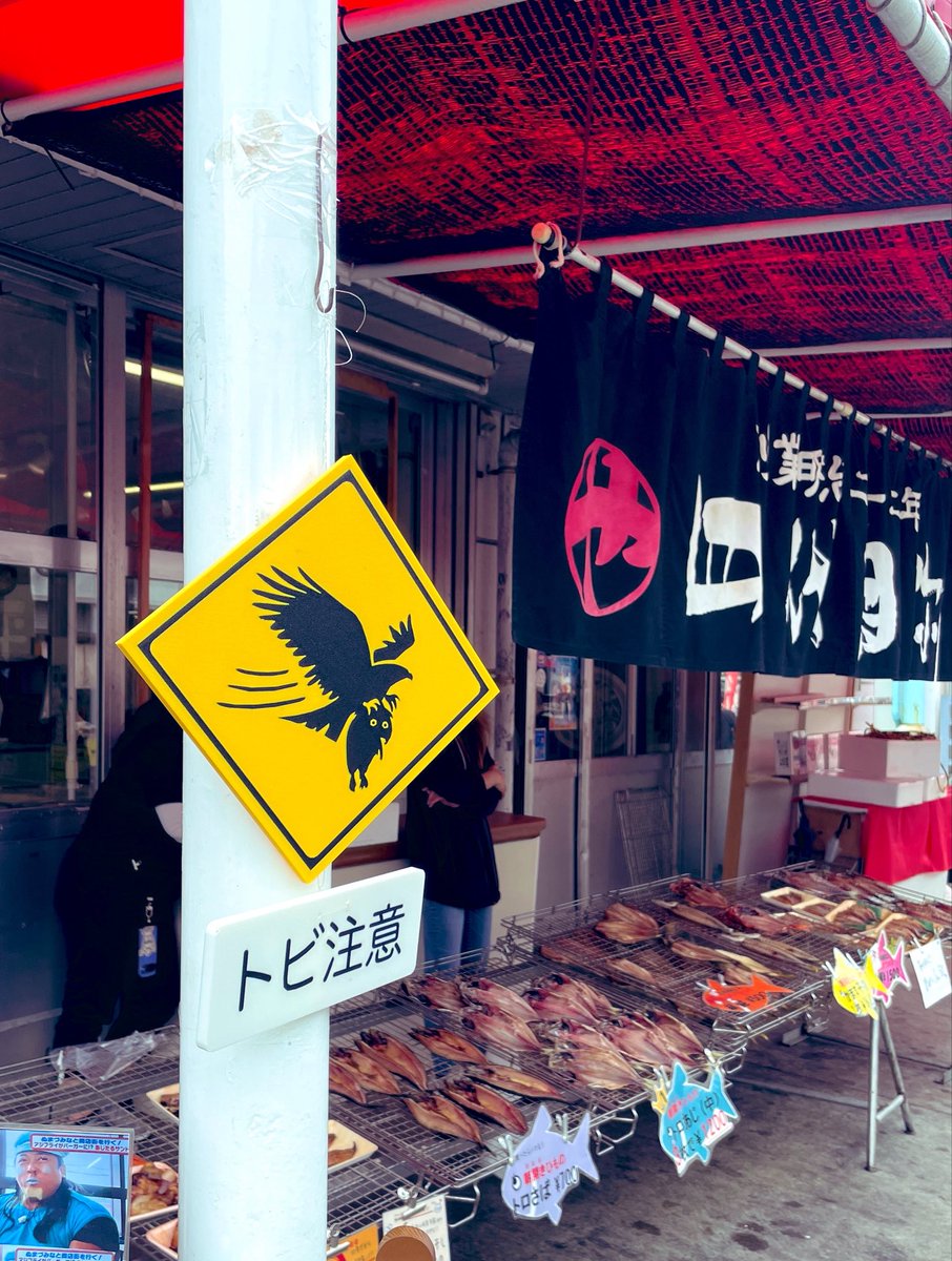 himonora_numazu's tweet photo. 沼津港にて鳶(とんび/トビ)による食品や干物が奪われる被害が多発していることを受け、注意喚起のため店舗に対して看板を配布中である。我々としても調査対象であるヒモノラがトビに狙われるようになるのは非常に困るため、対策を考えていくことにする。観光される方々も十分に気をつけるように。 https://t.co/gP8TbzajOd