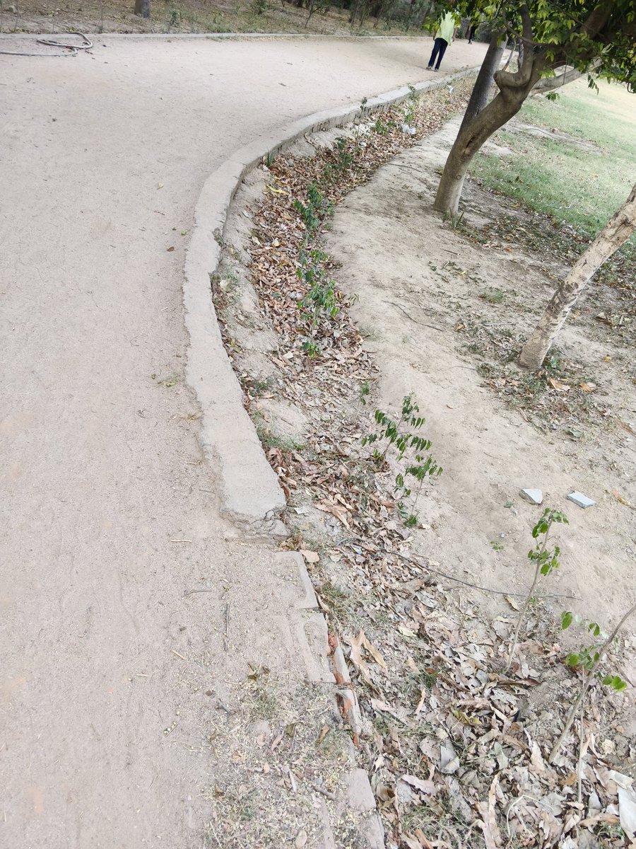 Agrawal2020's tweet photo. @LtGovDelhi @gupta_rekha @official_dda @TimesNow 
DDA has decided to kill green plants in Sanjay Lake park, Trilok Puri by not watering it despite wasting huge money on gardeners &amp; maintenance staff. https://t.co/qSgE17vdhI