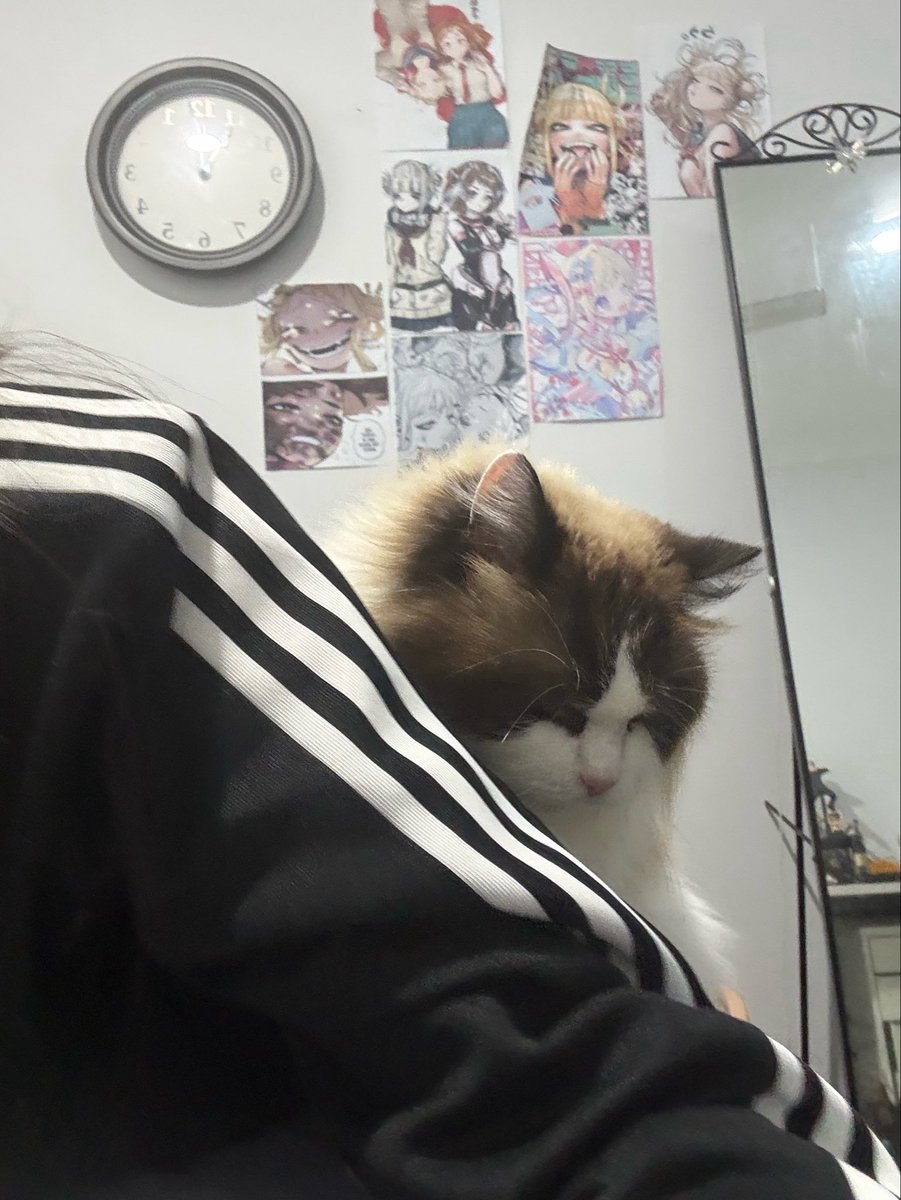mimi 𝜗ᢉ𐭩 tweet media