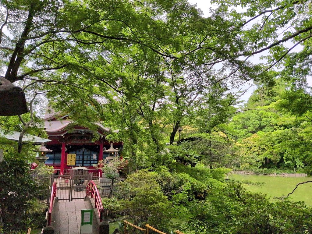oga390's tweet photo. 5/20(水)はねわワ宇都宮&amp;武蔵野の松林代表と会食！新しく生まれ変わったわたくしの話をフンフンと熱心に3時間弱も聴いてくれる。お忙しいのにこんな話をすみません！今の俺をこの世で一番理解してくれてるのは彼なのかも、ありがたい。彼の器はデカすぎて俺が理解してあげれないのもホント申し訳ない！ https://t.co/skW8r7ATMN