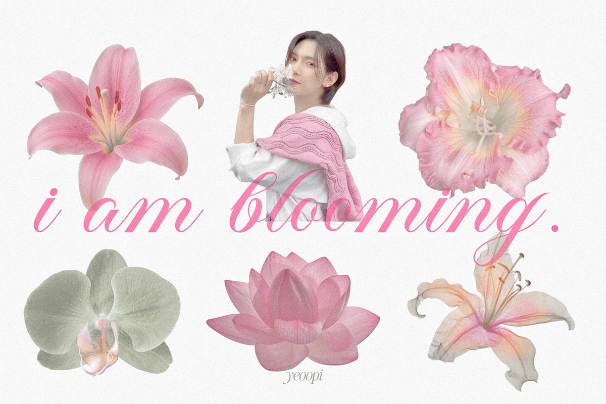 ˖ ݁ miwi 𐙚 . ݁₊ tweet media