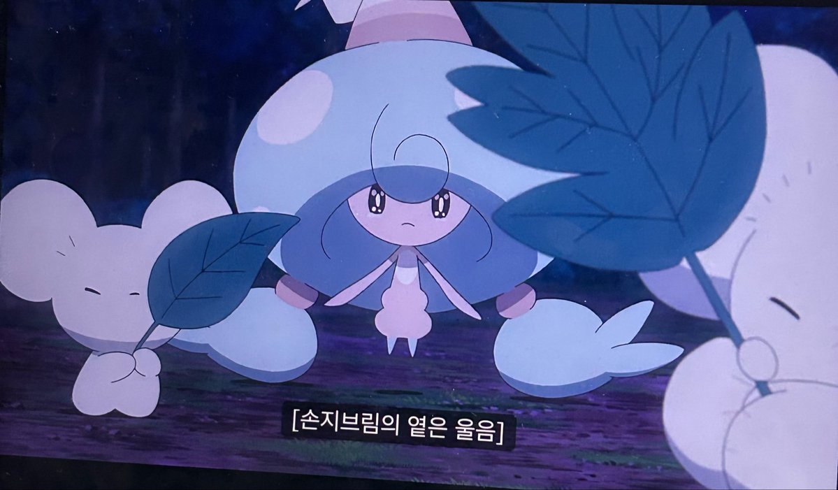 맹지 tweet media
