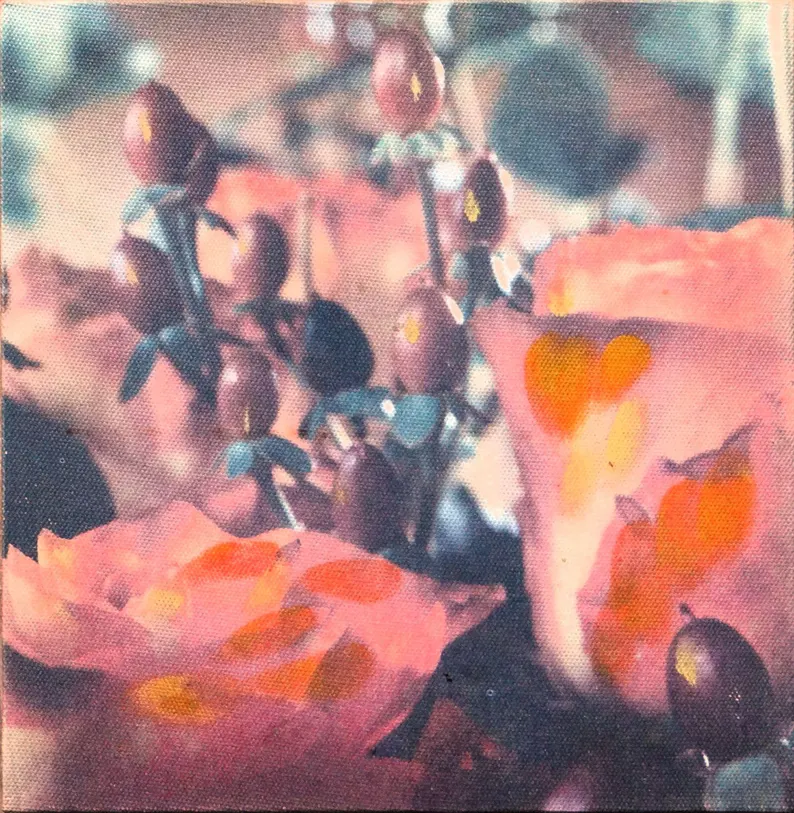 elementsdeco's tweet photo. 🌸✨ Soft Pink Rose Canvas glowing in golden sunlight — the ultimate romantic bedroom vibe!
Coral pink florals that feel dreamy & elegant 💕
Shop now: https://t.co/Wb2mv4k2uG
#WallArt #PinkRoses #RomanticDecor #BedroomInspo #EtsyArt #FloralPrint https://t.co/8XK7p49r1k