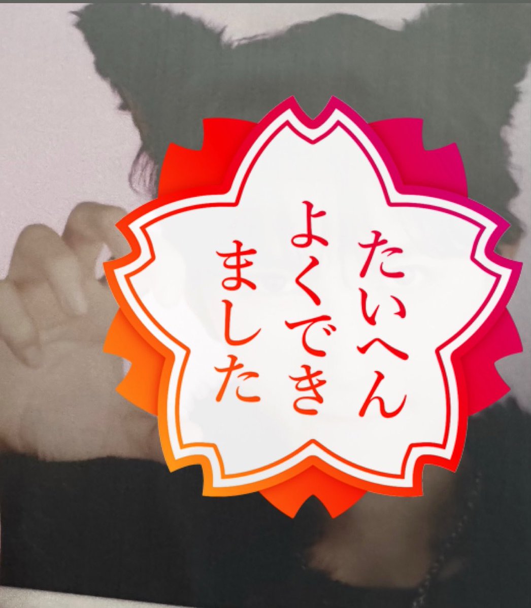 取引 tweet media