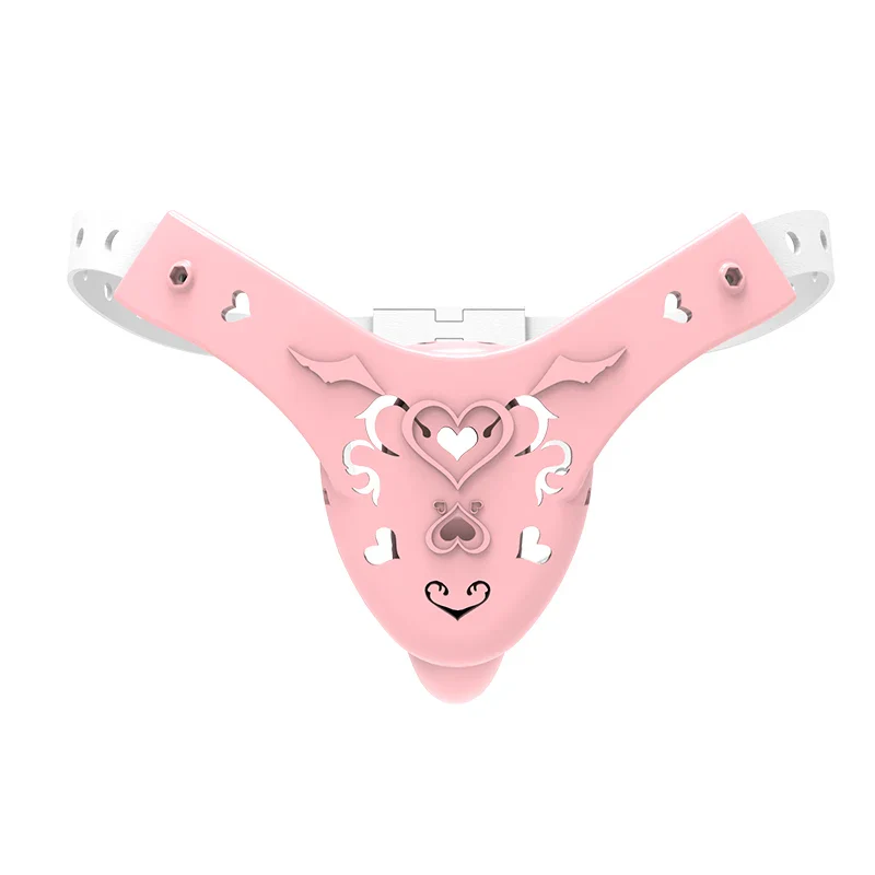 sissyloving's tweet photo. Sissy Succubus Chastity Belt For Male https://t.co/LuxkxgeLFi #chastitybelt https://t.co/28CLMM8q22
