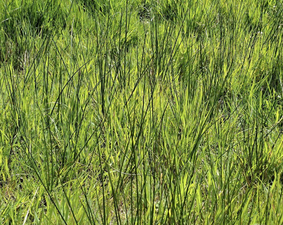 Ascerta | PCA Landscape tweet media