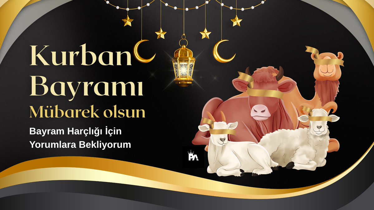 Pelin Ay tweet media