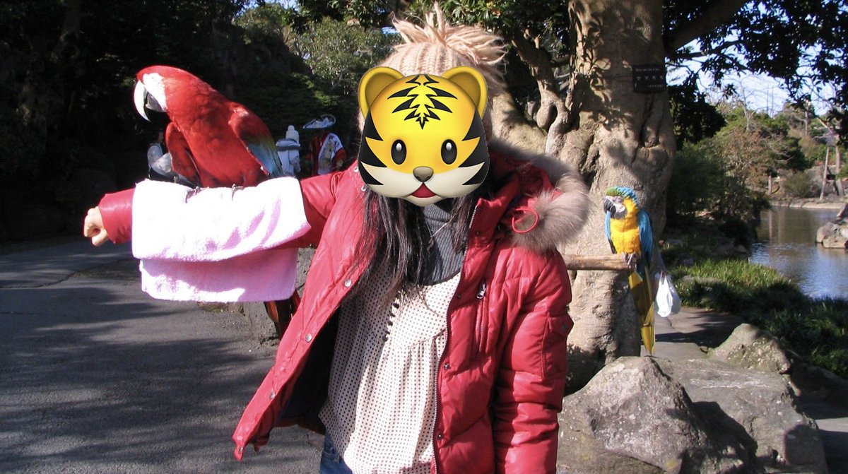 ざぼん tweet media