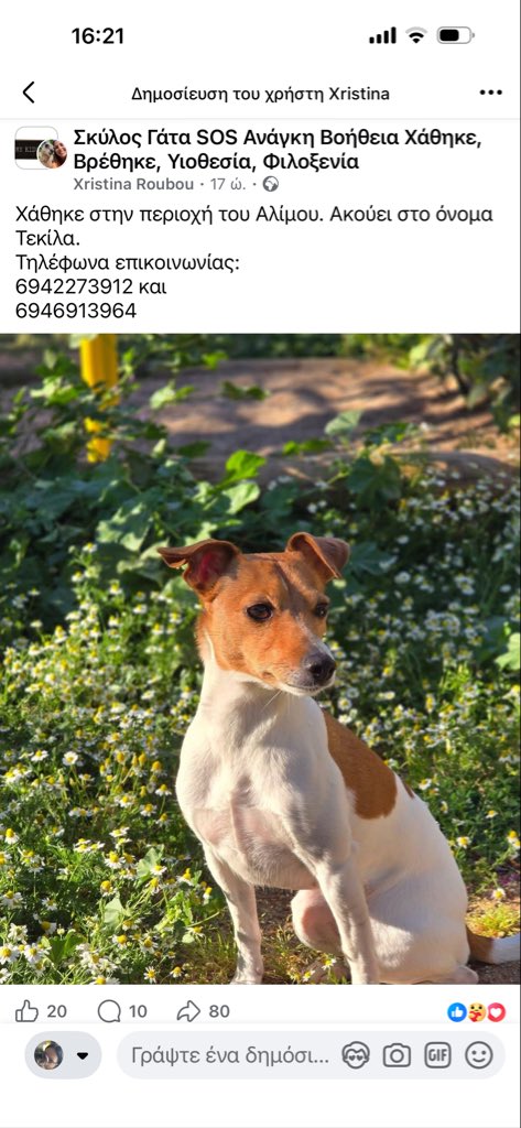 Rika Passa tweet media