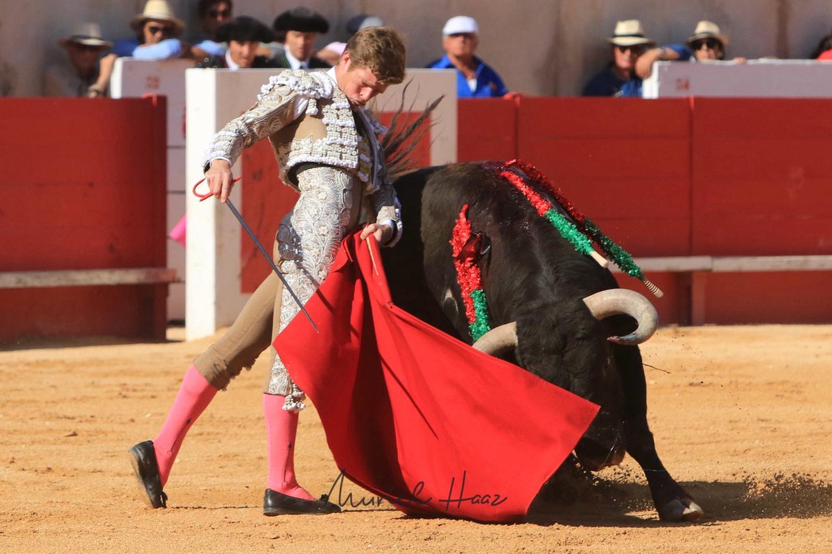 BorjaJimenez92's tweet photo. Nimes
Oreja y vuelta https://t.co/sjzh9b20VP