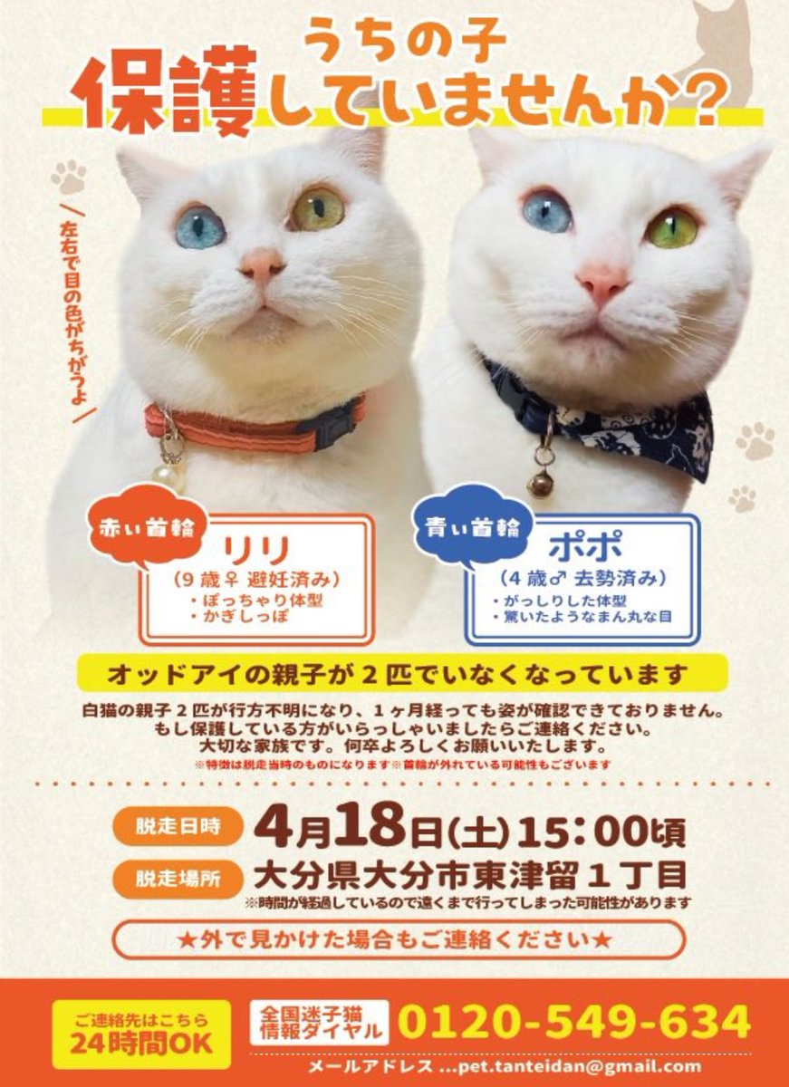 姫崎ゆー。 tweet media