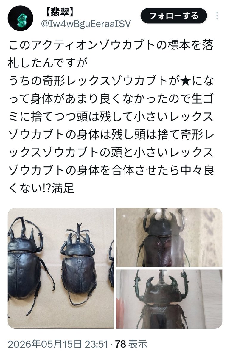 フォカロルス名言bot tweet media