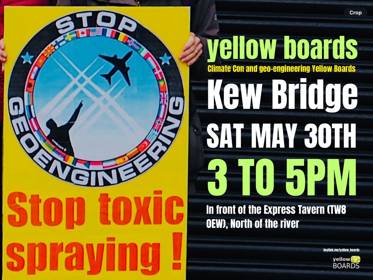 yellow_boards tweet media