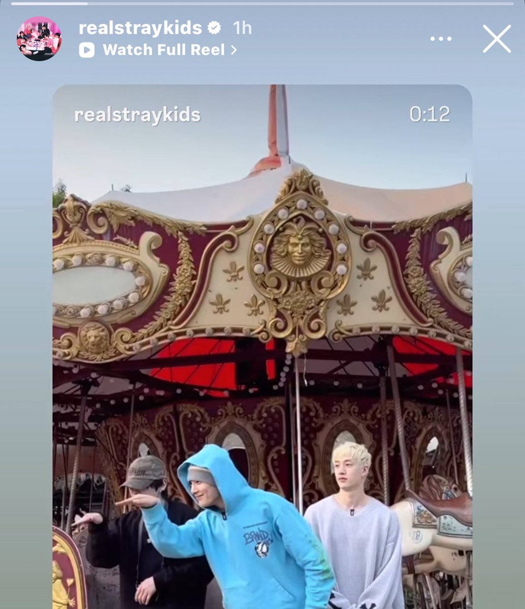⋆. 𐙚 ˚ Hanner tweet media