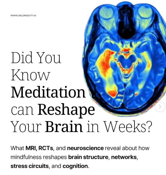 neuronpowers's tweet photo. Did you know Meditation can Reshape your brain in weeks? https://t.co/bCWDpDBuNy