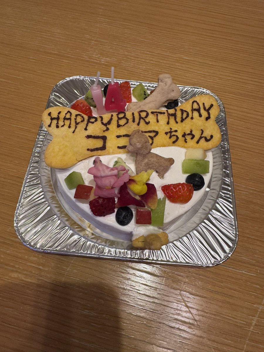 cocoaapple29's tweet photo. そういえば、ココアちゃんはお姉ちゃんのモカちゃんの年齢を超えました☺️
14歳１ヶ月😍まだまだ元気です🐶 https://t.co/LkGC1oqKa6