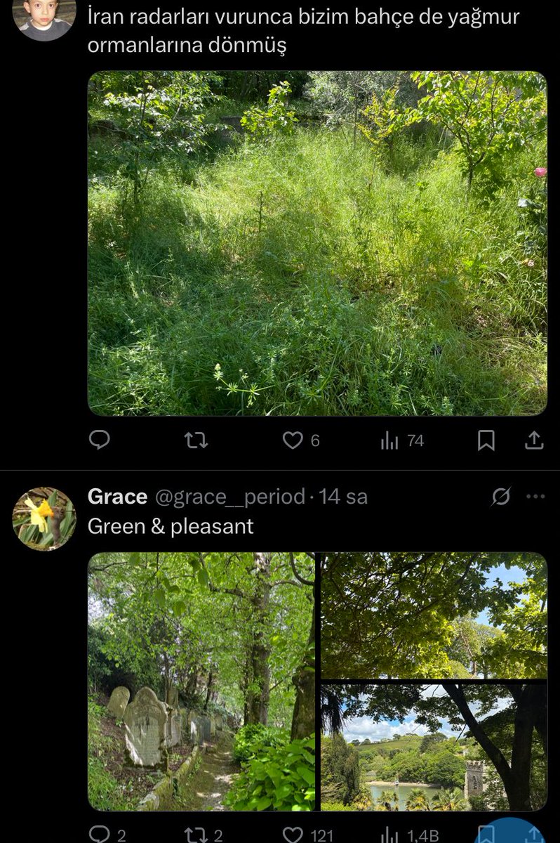 , tweet media