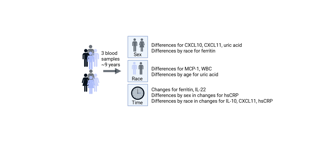 nnhooten's tweet photo. In our recent paper in @GeroScienceAGE, we examined cytokines, chemokines and clinical inflammatory markers in a longitudinal cohort of African American and White middle-aged adults. Check out more details here: https://t.co/D34EjycwcF @evansmkt @aging https://t.co/ekQ4JCJmqw