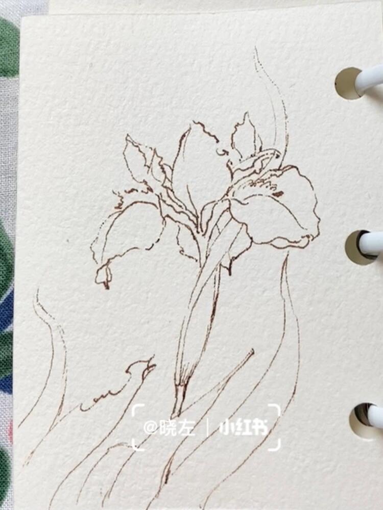RamVandeKap's tweet photo. [Looking for a fun way to spend weekends Try calligraphy! It’s easy to start, soothing, and lets you make beautiful art with basic tools. Your new cozy hobby awaits!]， https://t.co/sVfdZFLB9P