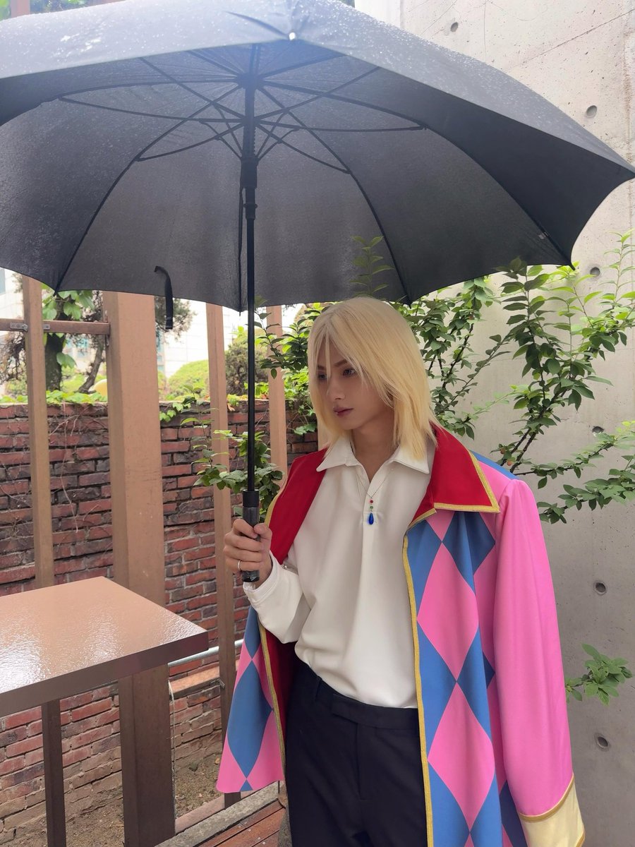 냥쿠사점 tweet media