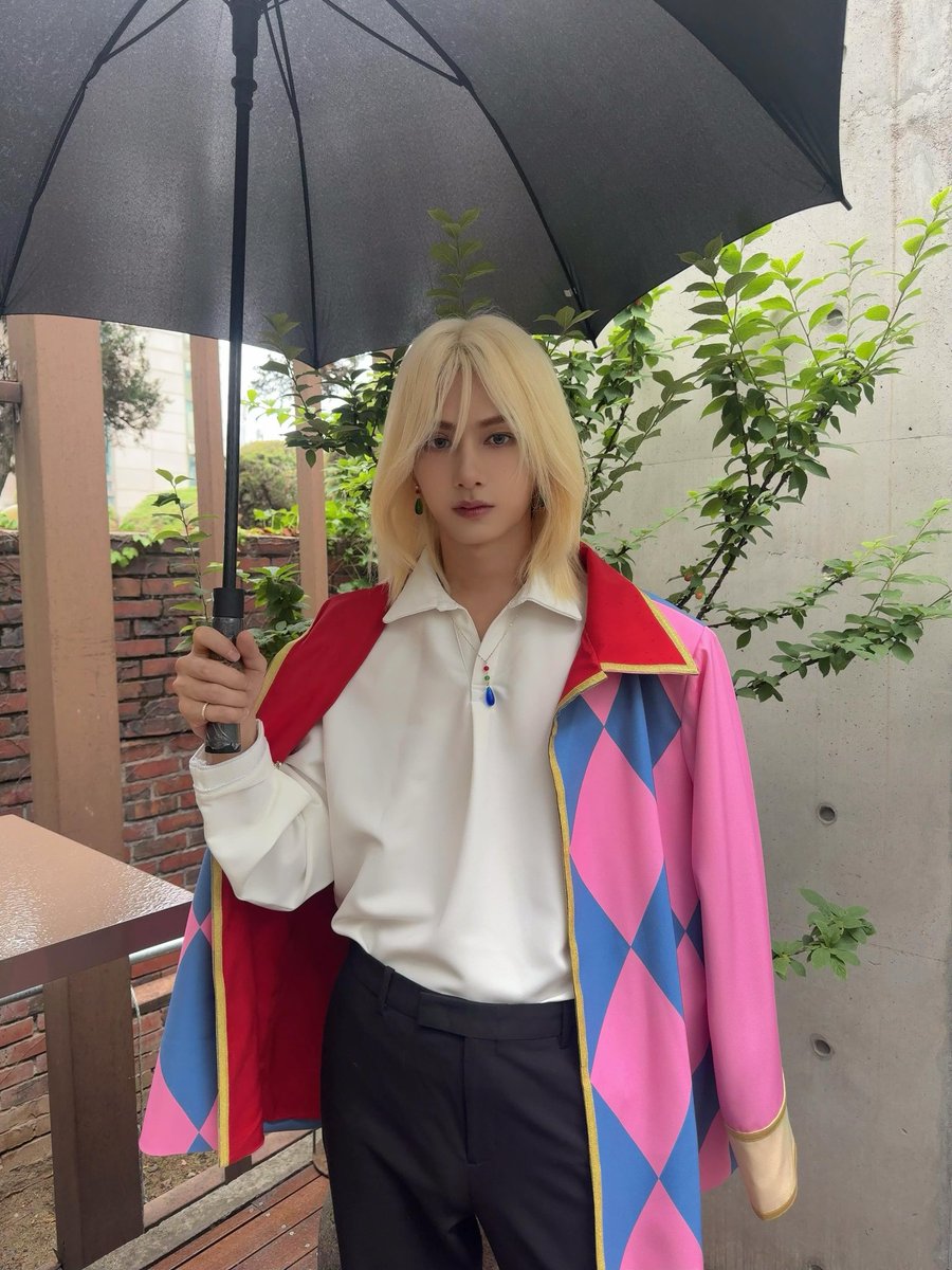 냥쿠사점 tweet media