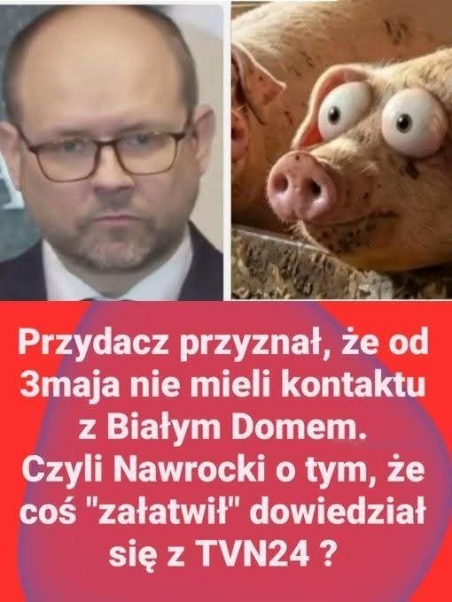 Zbigniewa tweet media