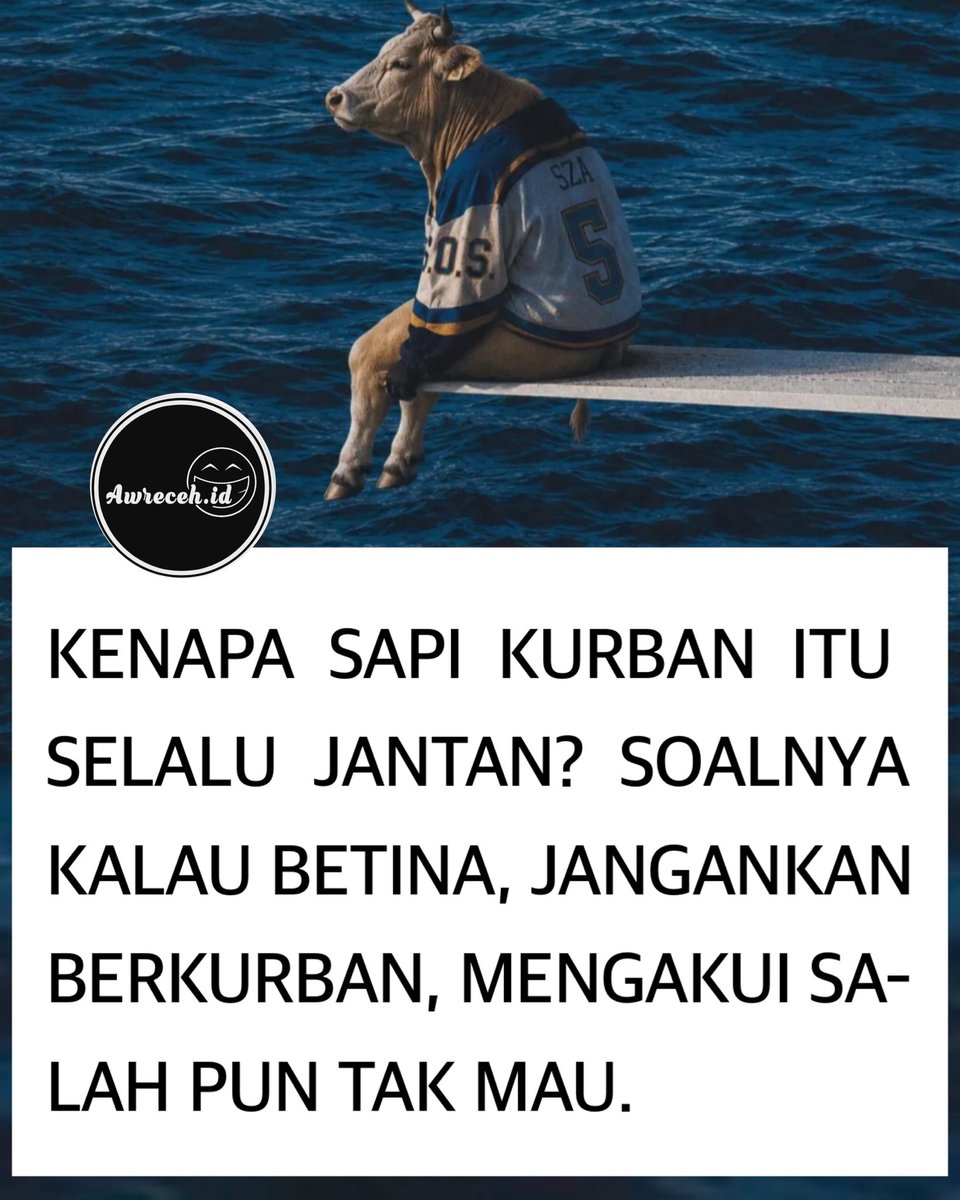 sosmed keras tweet media