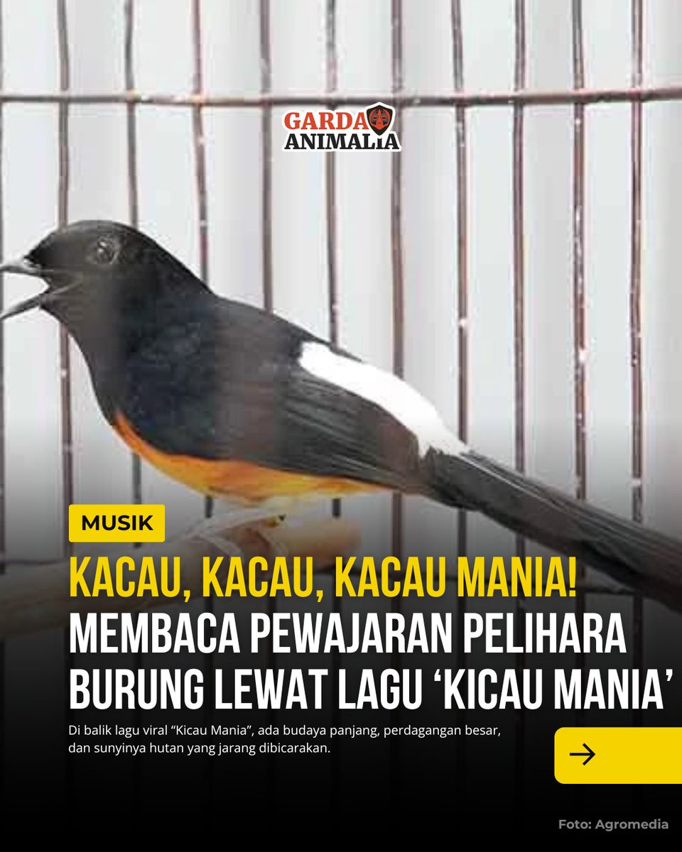 GARDA ANIMALIA tweet media