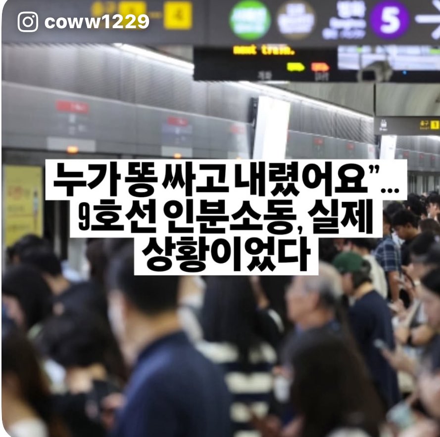 celeste 🇰🇷🇺🇸 tweet media