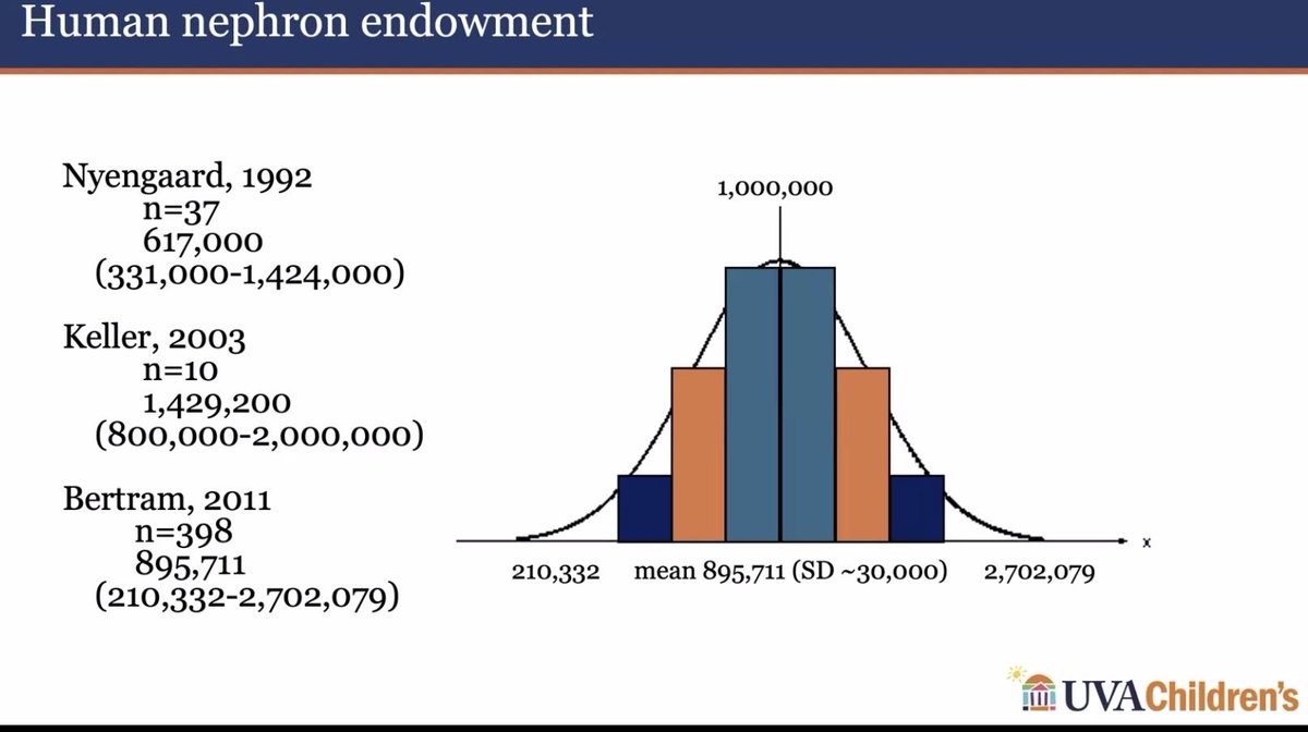 Abdelhamed6261's tweet photo. Hidden CKD risks https://t.co/IYzN2xgvP7