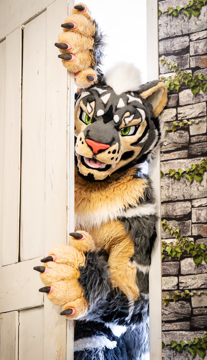ZephTiger's tweet photo. Zephyr is here! 🚪🐾✨ https://t.co/PHvSTCkpoN