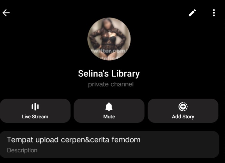 Miss Selina✧ tweet media